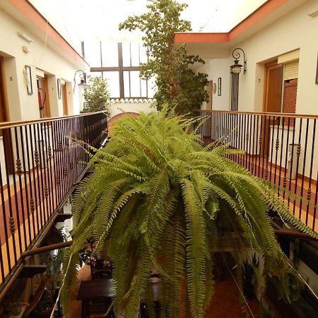 Hostal Cristina Chipiona Ngoại thất bức ảnh